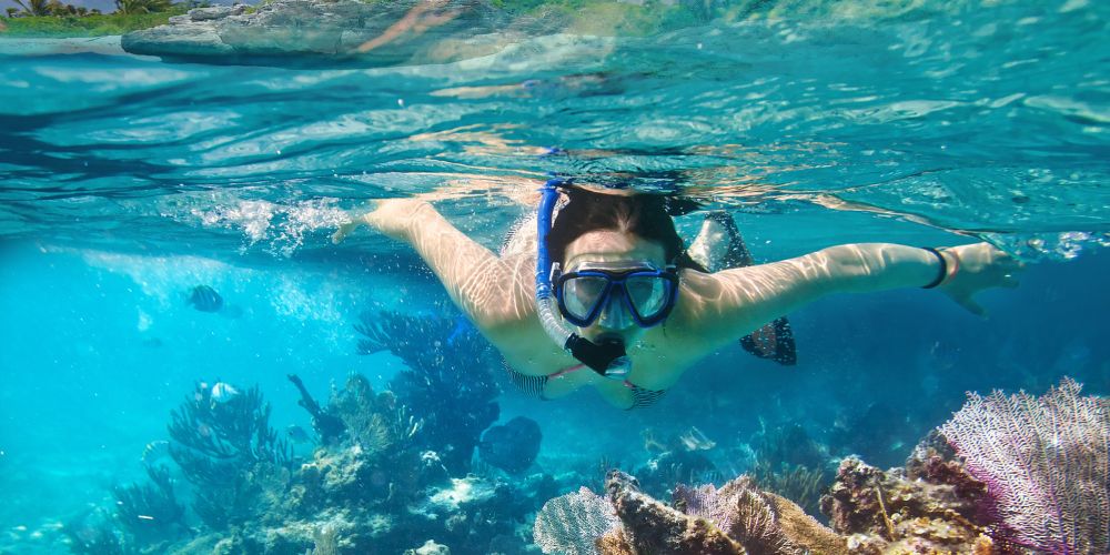 Snorkeling and Diving