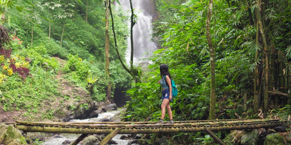 Trekking Through Lush Rainforests