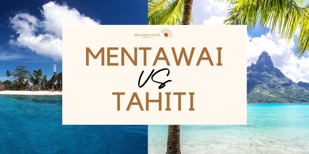 Mentawai vs. Tahiti-Surfs Up in Two Tropical Paradises.