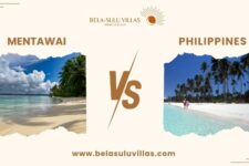 Mentawai vs. Philippines Surf Trip Comparison Guide